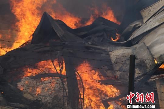 濟南伊利乳業過火面積達四千余平米 護林飛機滅火