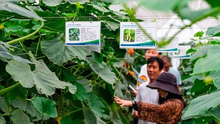 空間站與“卡脖子”，中國在警醒中爭取“逆襲