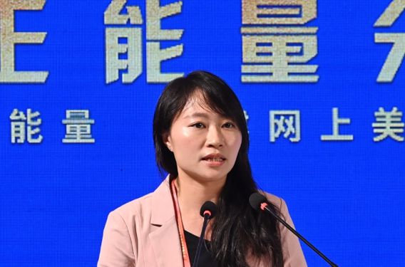 香港立法會議員陳穎欣：為國家發聲，展現真實的香港