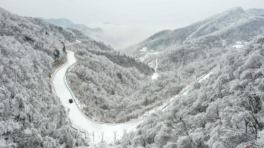 湖北?？惮F(xiàn)森林霧凇景觀 如水墨畫(huà)卷